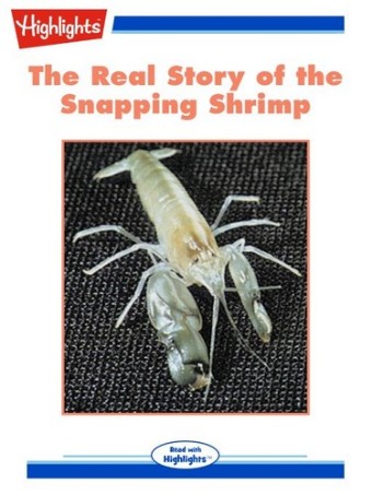 The Real Story of the Snapping Shrimp